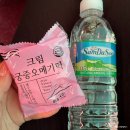 제주시동문재래시장 | 제주 동문재래시장 주차정보 오메기떡 딱새우 맛본 후기 기념품 추천