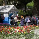 웰링턴 보타닉 가든 스프링 페스티벌 - Wellington Botanic Garden Spring Festival 이미지