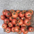 암농장 | 따옴농장 따마토 완숙 찰토마토 구매후기