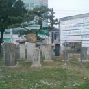 남양도호부 선정비 이미지