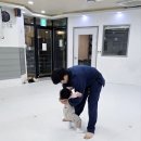 세종의 아침 태권도 이미지