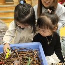 🪲🌿 “사슴벌레보다 선생님 심장이 더 콩닥콩닥?!😆 이미지