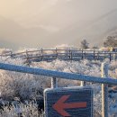 하얀천국 이미지