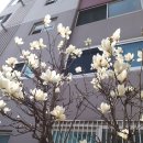명장1동-9 이미지