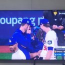 성미세탁 이미지