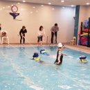 나무와아이들교육센터 이미지