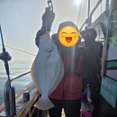낚시인의 집 | 보령 대천항 대광어 선상낚시 후기｜새벽 출항부터 광어 손맛까지 현실 후기
