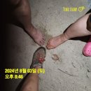 행복한 동행 이미지