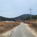 읍리 지석묘 이미지