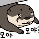 돌판돼지 이미지
