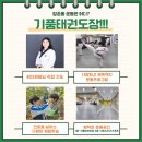 기품있는 태권도장 이미지