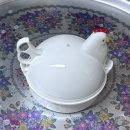 대성검사정비(주) | 주간일상 번외편2&lt;주토피아2 후기: 미니쿠퍼 자동차검사: 화폐성 습진&gt;