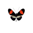 백합어린이집 이미지