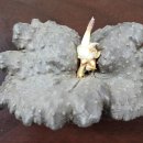 주아농장 이미지