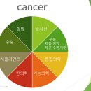 최적의 암 치료와 치료 성적을 높이기 위한 전략 이미지