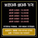 넘은골 | [넘은골농원방문기]보은대추 보은생대추 판매가격 , 내가 선택하는 이유