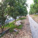 왕눈이농장 이미지