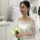 웨딩컨설팅 퍼스널컬러 컬러라이즈 강남 솔직후기
