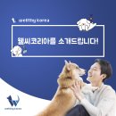 헬씨웰씨