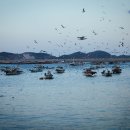 로마관광나이트 이미지