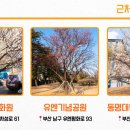 충렬사 앞 화장실 이미지