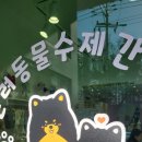 댕스투 이미지