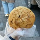 맘모스껍데기 | 동생동산 안동빵집 안동맛집 맘모스베이커리 후기(유자파운드 강추)