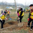 동구나무어린이공원 이미지