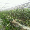 한운농장 이미지