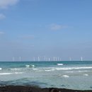 혼저옵서예 이미지