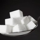 업템포짐 이미지