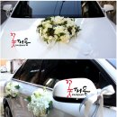 그린피움 이미지