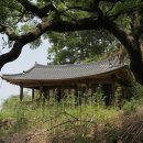 창녕 오여정 이미지