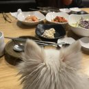 말랑말랭 네이버블로그