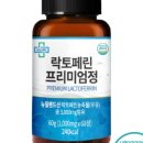 정닥터