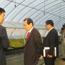 회진농장 이미지