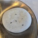 추억의 옛날 도너츠와 호떡 | [춘천] 현지인 추천 빵집 춘천 빵지순례 대원당 (feat. 가격과 메뉴 소개)