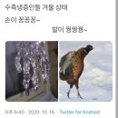 엔돌핀 이미지