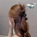 아르누보헤어 - 중구 백양로 52 | 아르누보헤어