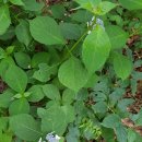 단성생활체육공원 이미지