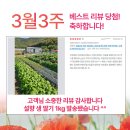 [행복대학]전문 플로리스트와 함께하는 힐링 가드닝 꿀팁 | 14가지 색상의 화려한 겹꽃 아진종묘 스토크 씨앗 100립 기모노 믹스 내돈내산 후기