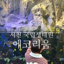 군산시미룡작은도서관 | [공지] 서천 아이랑 가볼만한곳 군산근교 갈만한곳 국립생태원 에코리움