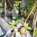 비어클럽 이미지