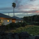 코코로 오보에 이미지