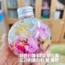 [03/20] 프리저브드 플라워 하바리움 - 원데이 클래스 | 중학교 토탈공예 수업 후기 하바리움 LED 무드 등 &amp; 꽃 볼펜 만들기 감성체험