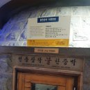 발리스파테라스5 이미지