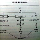 마인드이노베이션
