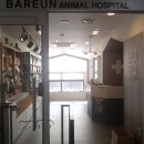 경희궁바른동물병원 이미지