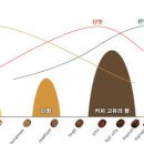 커피아다지오 이미지