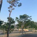 밀양189 이미지
